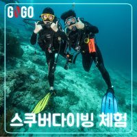 성남 체험 스킨스쿠버다이빙 강습 고고다이브 용인