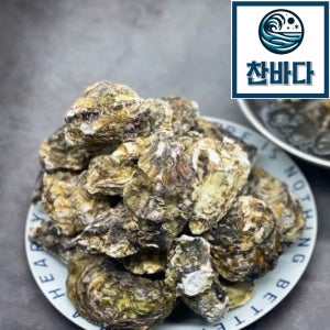 국내산 여수 자연산 월하석화 10kg 5kg 선별, 세척완료 당일조업 산지직송 생굴 굴