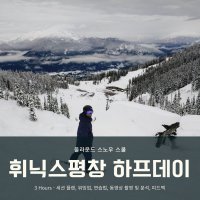 [하프데이 휘닉스파크 평창] 스노우보드 강습 Snowboard Half Day Lesson at Phoenix Park Pyeongchang