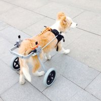 반려견 휠체어 애견 보조기 보행기 강아지 의족 노견