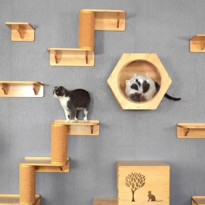 캣워커 캣타워 원목 고양이 구름다리 놀이터 캣 월 벽걸이 집만들기 친환경 DIY
