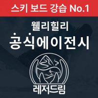 [초급] 웰리힐리파크 프리미엄 스키 보드 강습 1:1 2:1 [2시간] 평일 주말 어린이 성인