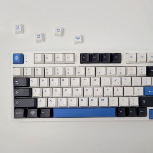 1.7mm GMK 아크틱 키캡 PBT 측각 LED 체리 5면 염료승화 한글각인 (4가지)