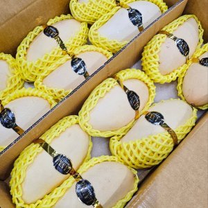 프리미엄 고당도 망고 태국 무지개 깨오 캄보디아 페루 애플