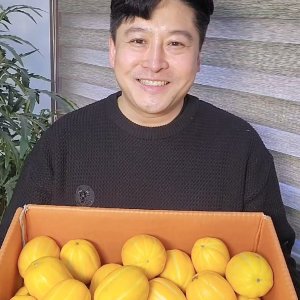 당도선별 꿀 성주 참외 정품 가정용 선물용 용 2kg 5kg 10KG