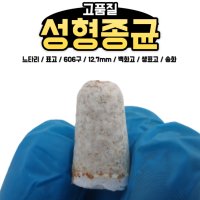 느타리 표고종균(606구 백화고 중온성 송화) 버섯종균배양소직판