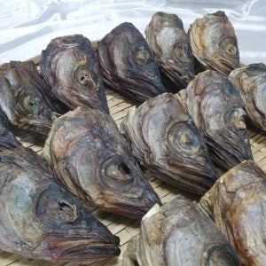 구수한 북어머리 육수 북어대가리 500g, 700g,1kg
