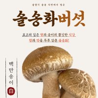 백만송이 솔송화버섯