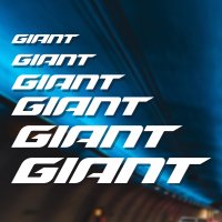 자이언트 스티커 GIANT 엠블럼 type2 자전거 바이크꾸미기 로고 데칼 컷팅 스티커