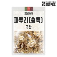 국내산 건조 파뿌리 파뿌리차 총백 대파차 300g