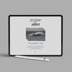 루카랩 만년형 스크랩 더 모먼트 굿노트 루카패드 아이패드 다이어리 노타빌리티 서식 갤탭