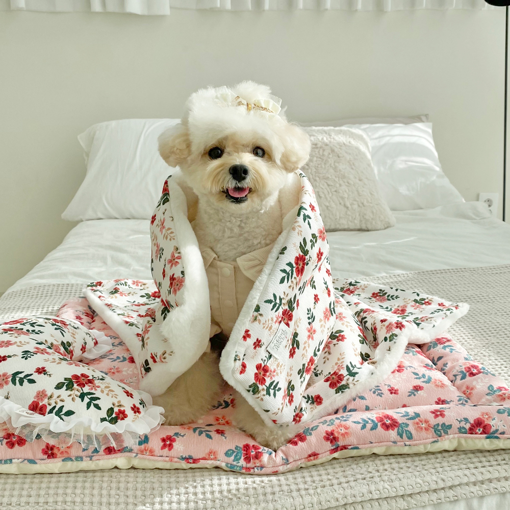 겨울 강아지이불 강아지담요 블랭킷 디얼퍼피 리엘라 중형