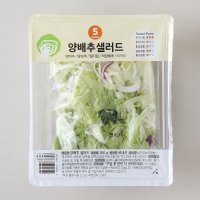 양배추 샐러드 100G(팩)