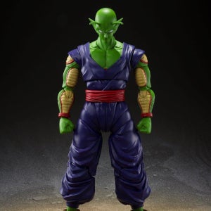 (예약상품 8월출고) S.H.피규아트 피콜로 슈퍼히어로