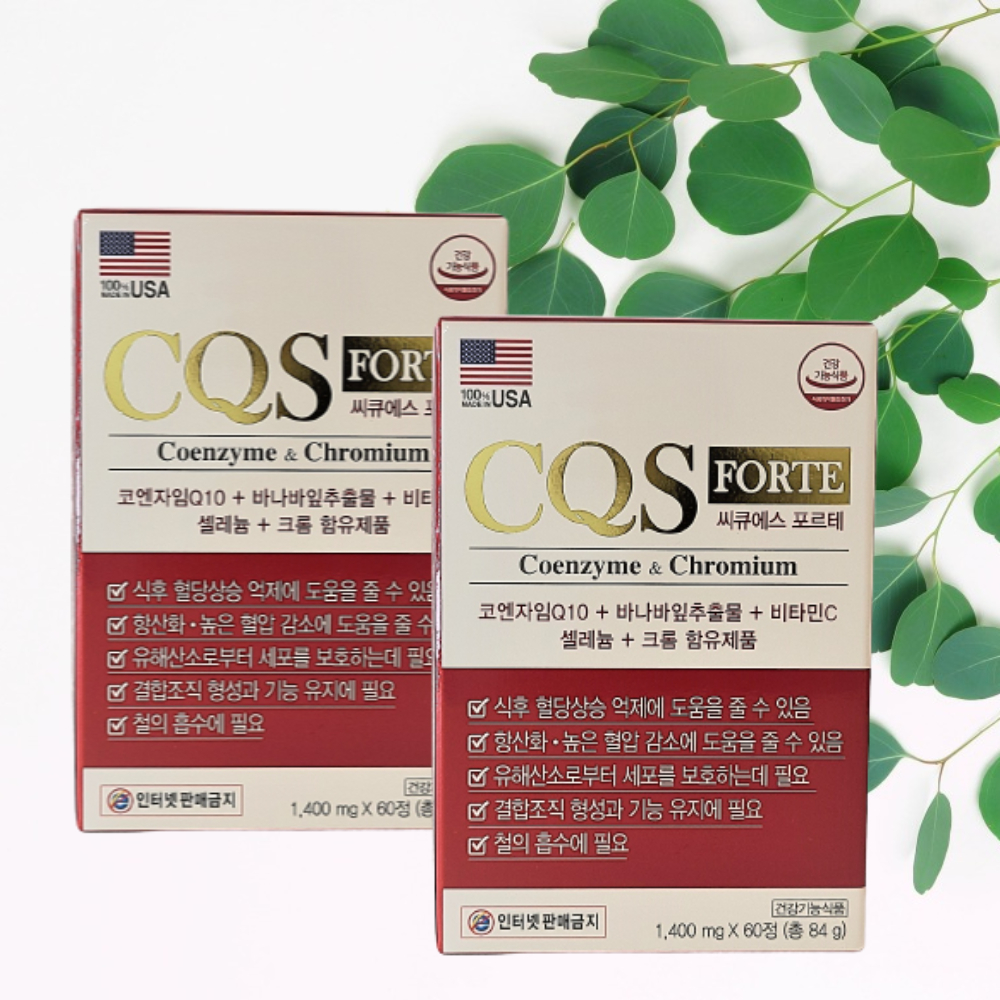 씨큐에스 포르테