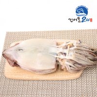 동해안 반건조오징어 10미 1.5kg 반건오징어 피데기