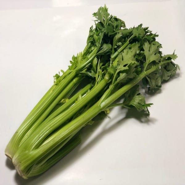 국내산 샐러리 셀러리 2kg 3kg 5kg