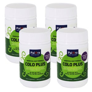 PaiOra COLOPLUS 파이오라 콜로플러스 뉴질랜드 산양유 초유 츄어블 300정4개