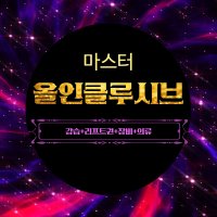 비발디파크 스키마스터 강습올인크클루시브