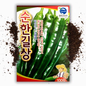 순한 길상 고추씨앗 100립 오이고추 종자