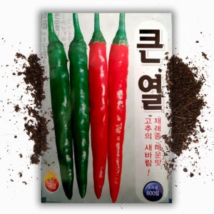 큰열 고추씨앗(600립)큰 청양고추 종자