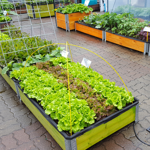 [가든팜] 조립식 텃밭상자 박스 옥상 베란다 울타리 화분 꾸미기 G400 가든칼라스