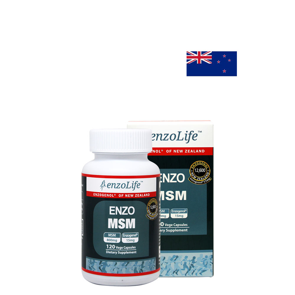 뉴질랜드 EnzoLife 식이유황 MSM 800mg 영양제 120캡슐