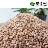 토종원 찰수수 500g 참살이건강