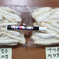 산지직송 깐더덕 700g