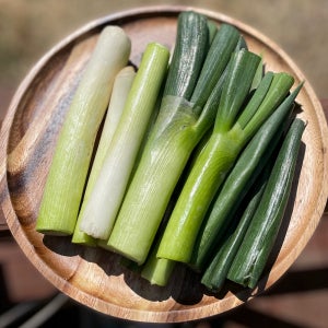 국내산 깐대파 (400g/ 800g )