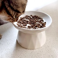 고양이 밥그릇 도자기 세라믹 급체방지 슬로우 식기 그릇 높이 식탁