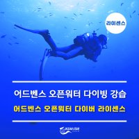 오션스타 어드벤스 스쿠버다이빙 스킨스쿠버 자격증 교육 강습 [부산/울산]