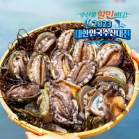 숨비해물 산지직송 완도 활 전복 1kg