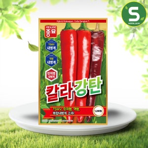 고추씨앗 1200립 칼라강탄 복합내병계 수확기 빠름