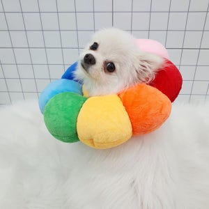 강아지 고양이 애견 중성화 넥카라 넥쿠션 목쿠션