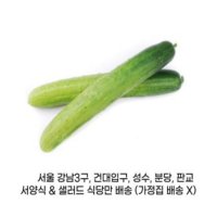 백오이 특 1kg 식자재