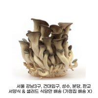 꽃느타리 버섯 상 2Kg 식자재