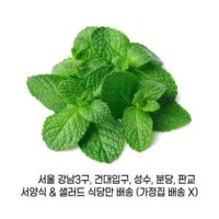 페퍼민트 10g 식자재