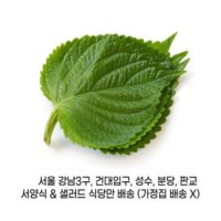 깻잎 찹찹 1kg 식자재