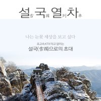 대둔산SRT 눈꽃열차 국내 겨울 당일치기(대둔산케이블카-구름다리 눈꽃산행) 코레일기차여행(수서역 출발)