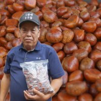 22년 맛있는 진짜 햇 공주밤 공주 옥광밤 알밤 생 깐밤 1kg 2kg