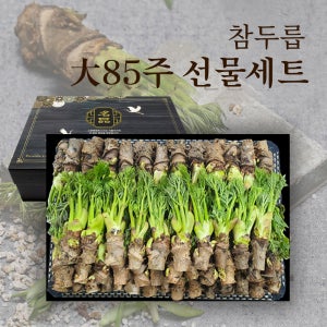 참두릅 입맛을 돋궈주는 향긋한 두릅 大85주 고급 설 선물세트