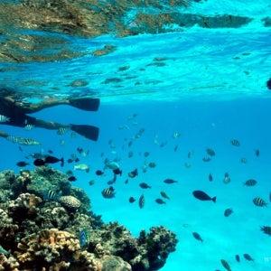 사이판 마나가하투어 돗자리&아이스백 무료제공