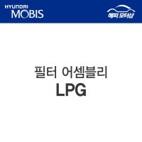 필터 어셈블리-LPG 갤로퍼 330953A500 33095 3A500