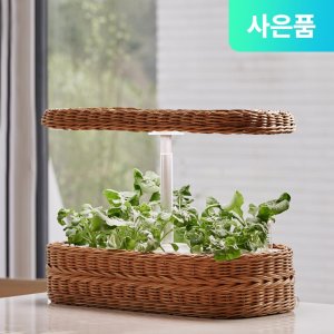 스마트팜 최저가 가성비상품