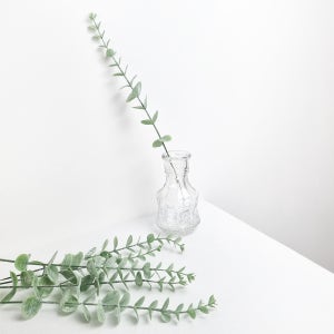 오늘의오브제 B29 D타입 유칼립투스 파우더 조화