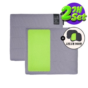 밸런스온 기능성 프리미엄시트 L SIZE 2개세트(자세교정 사무실 쿨 의자 무하중방석)