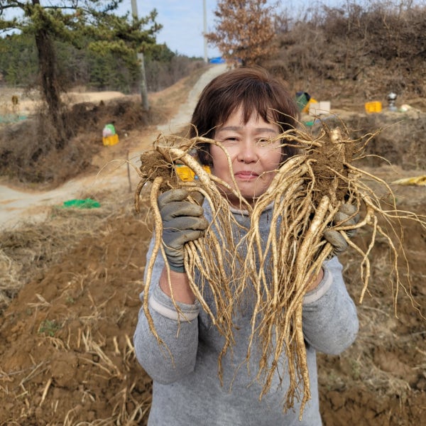 국산 약도라지 나물 정과용 생도라지 3년근도라지1kg