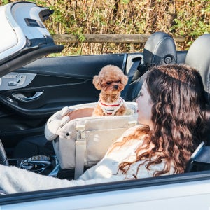 개과천선 테디백 강아지 콘솔 카시트 애견 자동차 차시트 드라이빙킷 오트밀 베이지