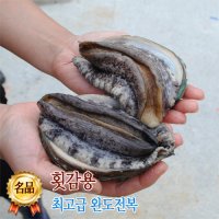 청정해역 완도전복 10미 1kg (10마리) / 산소포장